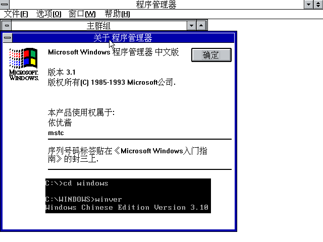 Windows 3.1 版本信息